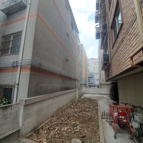 파주 태풍피해나무 작업 후 - 건물 사이 좁은 통로에 있던 나무를 제거해 통행로를 정리한 현장입니다.