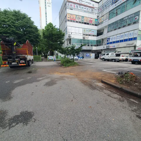 안산 인근 지역 사례 - 파주 도로를 막고 쓰러진 나무 정리