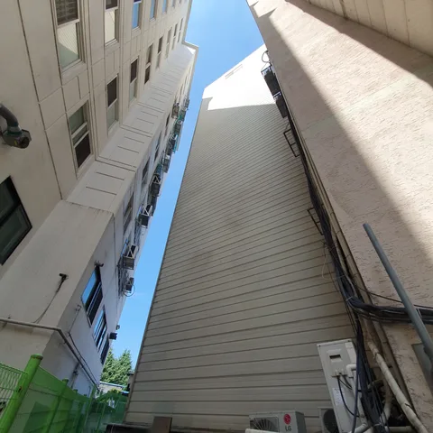 하남 태풍피해나무 작업 후 - 신장동 구도심 상가 건물 사이 좁은 틈에서 자란 나무를 제거한 현장입니다.