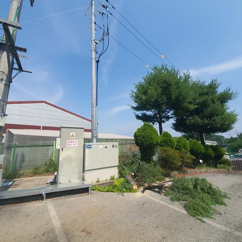 남양주 태풍피해나무 작업 후 - 농로 옆 전신주 배전함 인근 전선에 닿을 듯 자란 나무를 정리한 현장입니다.
