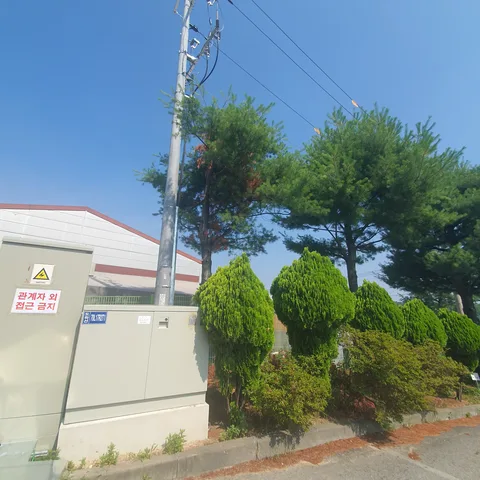 남양주 태풍피해나무 작업 전 - 농로 옆 전신주 배전함 인근 전선에 닿을 듯 자란 나무를 정리한 현장입니다.