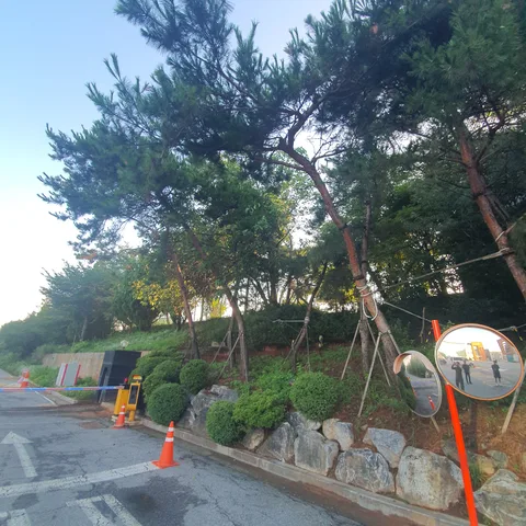 지주목 설치로 피해 확산 방지